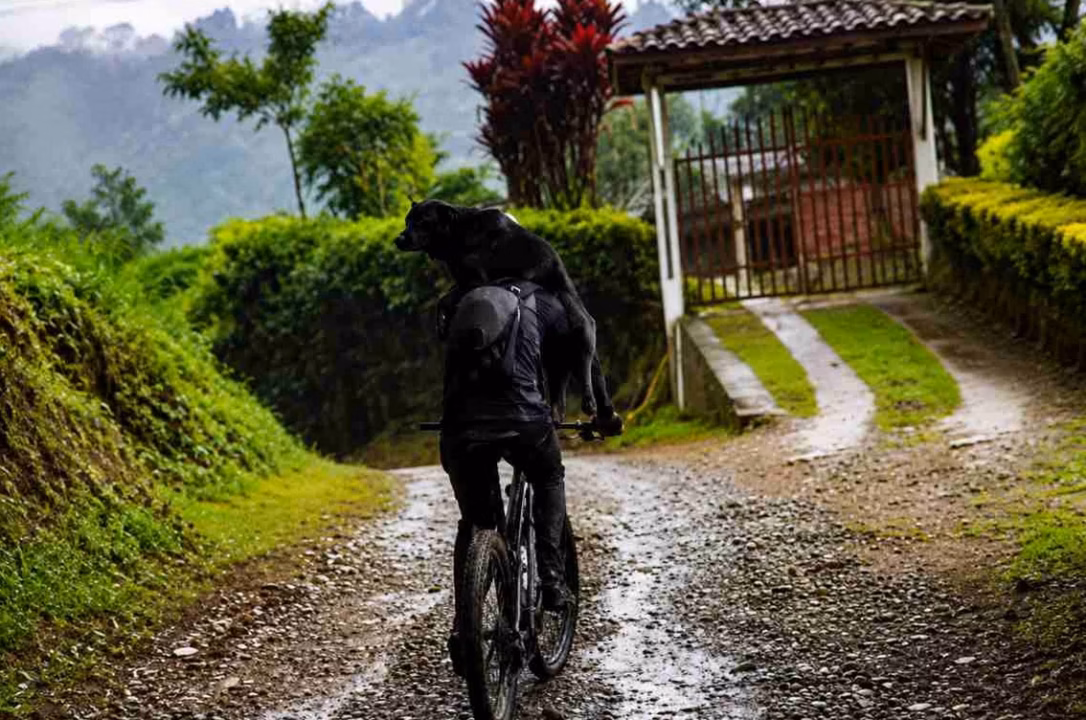 Cyclisme : Pogacar, un redoutable « tueur » sur le vélo mais avant tout un coéquipier exemplaire selon son lieutenant