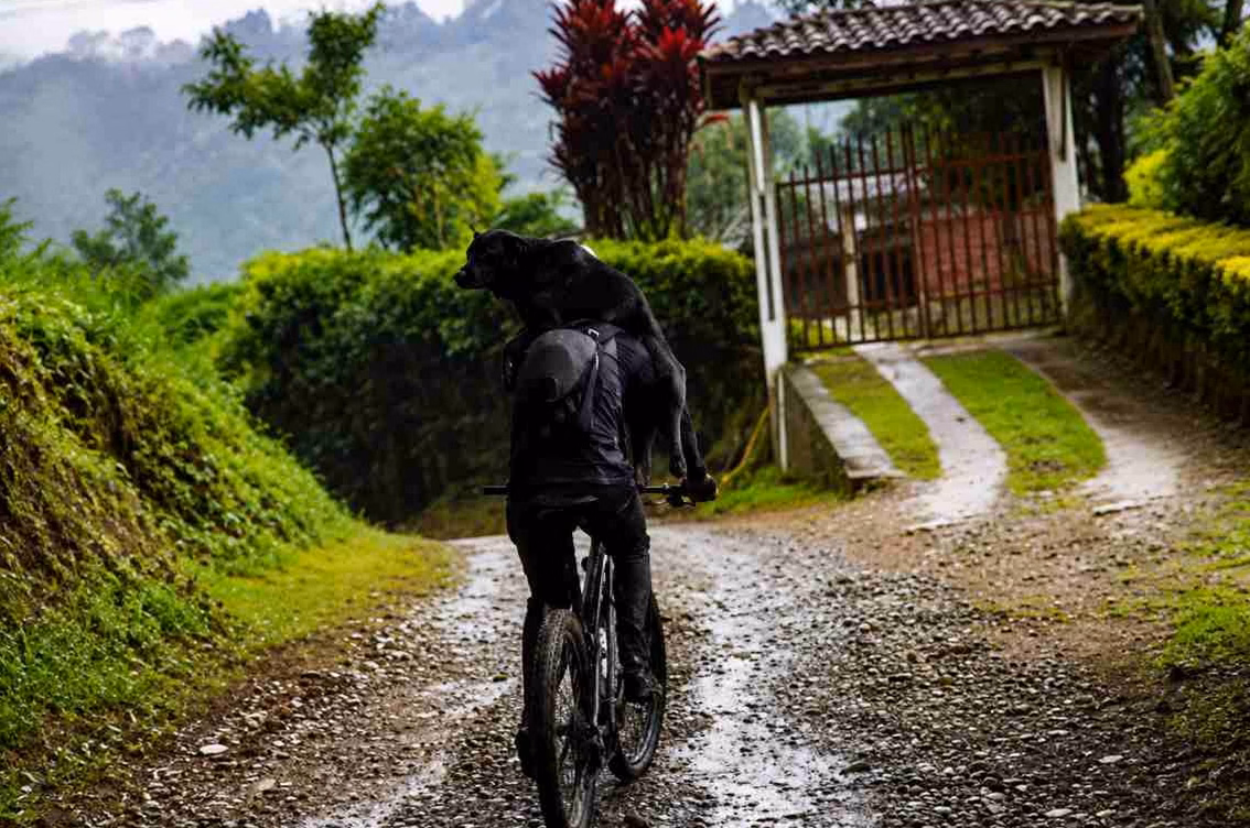 Cyclisme : Pogacar, un redoutable « tueur » sur le vélo mais avant tout un coéquipier exemplaire selon son lieutenant