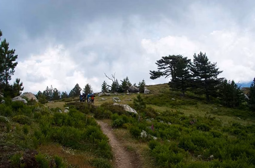 Trail de montagne ou trail roulant : deux courses très différentes